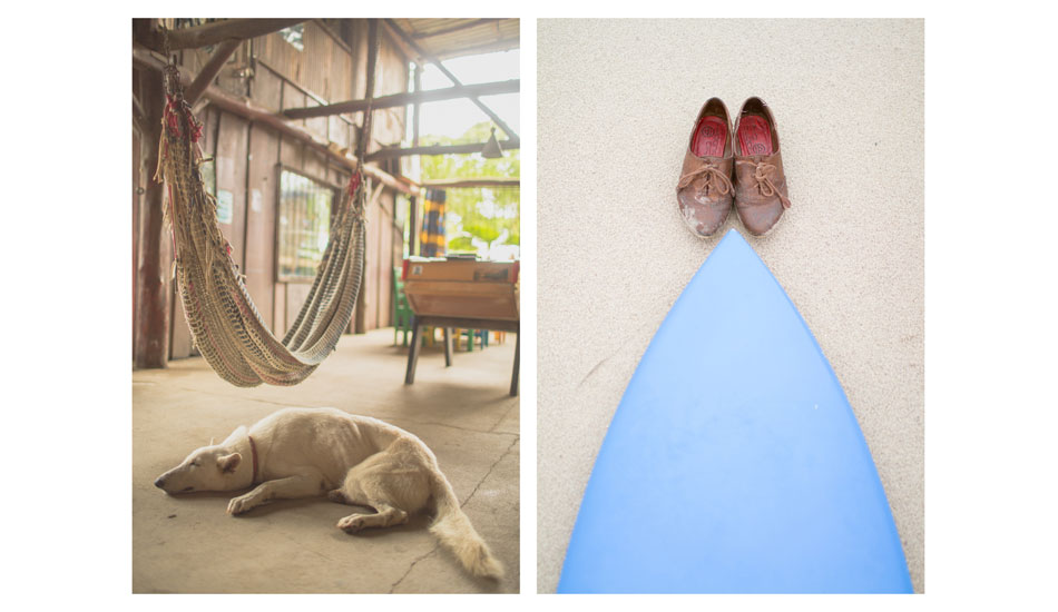 Whites, browns, blues, and a happy dog. Photo: <a href=\"https://www.forestwoodward.com\">Forest Woodward</a>