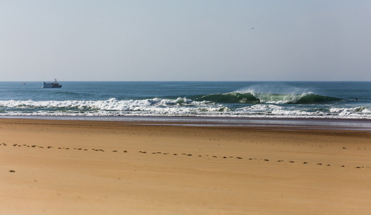 Photo: <a href=\"https://www.jeromechobeaux.fr\">Jerome Chobeaux</a>