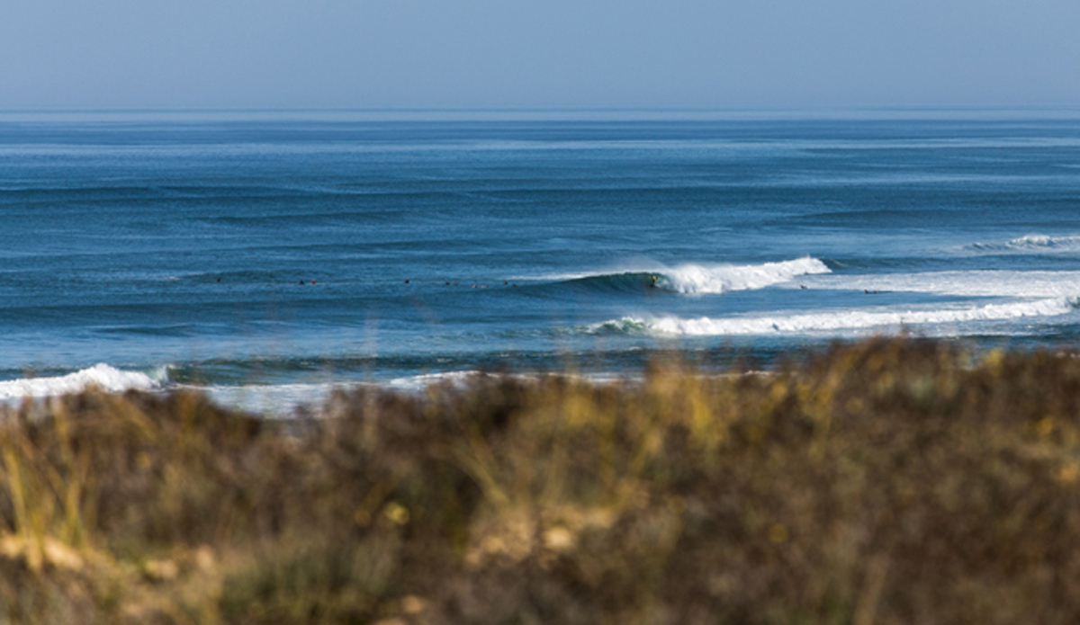 Photo: <a href=\"https://www.jeromechobeaux.fr\">Jerome Chobeaux</a>