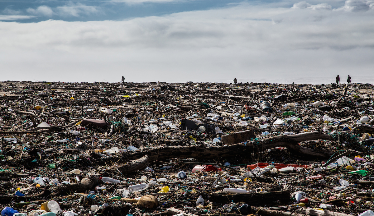 Photo: <a href=\"https://www.jeromechobeaux-photographe.fr/jeromechobeaux-photographe.fr/Home.html\">Jerome Chobeaux</a>