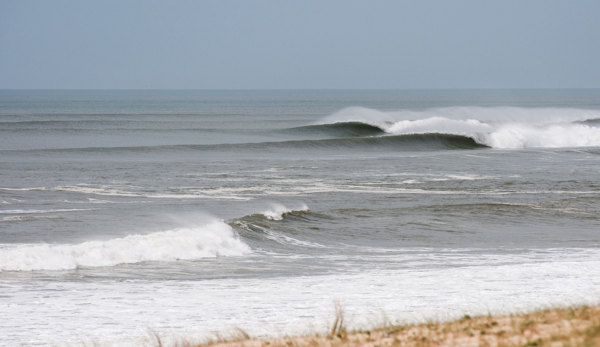 Photo: <a href=\"https://www.jeromechobeaux-photographe.fr/jeromechobeaux-photographe.fr/Home.html\">Jerome Chobeaux</a>