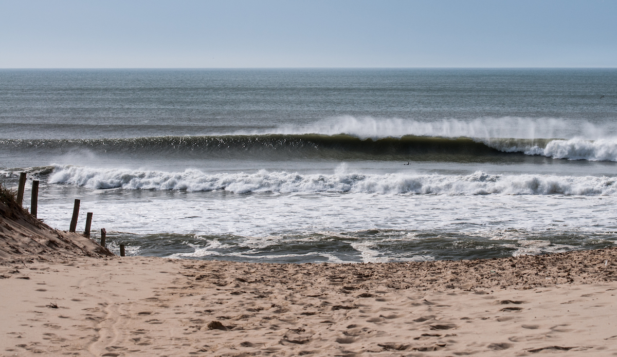 Photo: <a href=\"https://www.jeromechobeaux-photographe.fr/jeromechobeaux-photographe.fr/Home.html\">Jerome Chobeaux</a>