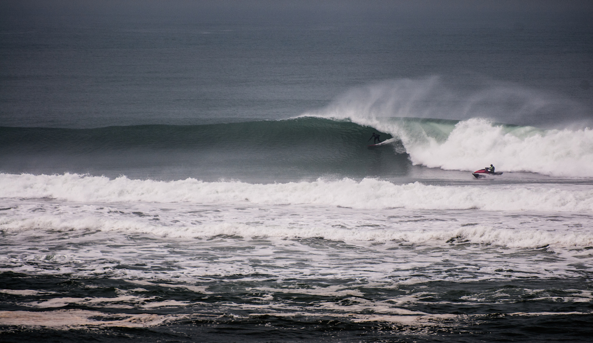 Photo: <a href=\"https://www.jeromechobeaux-photographe.fr/jeromechobeaux-photographe.fr/Home.html\">Jerome Chobeaux</a>