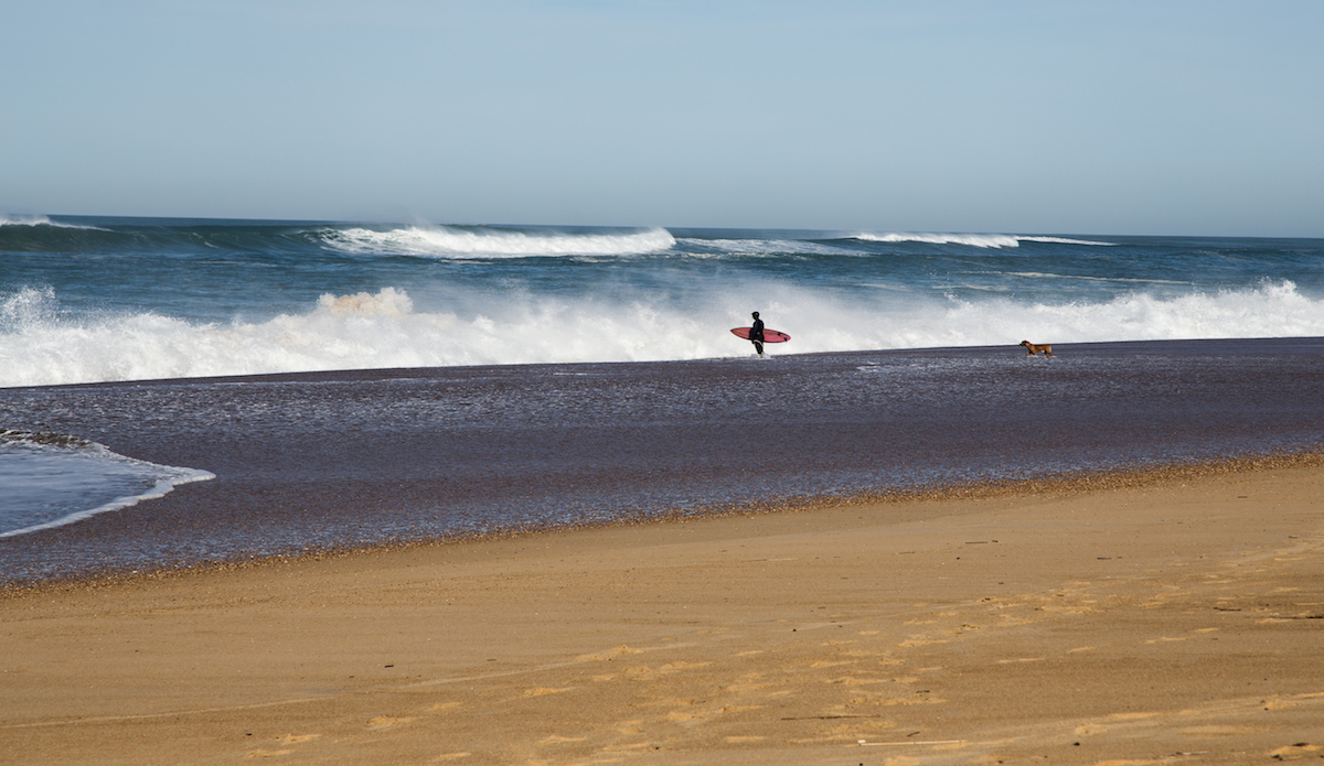 Photo: <a href=\"https://www.jeromechobeaux-photographe.fr/jeromechobeaux-photographe.fr/Home.html\">Jerome Chobeaux</a>