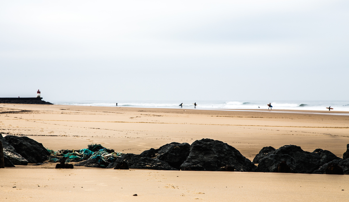 Photo: <a href=\"https://www.jeromechobeaux-photographe.fr/jeromechobeaux-photographe.fr/Home.html\">Jerome Chobeaux</a>