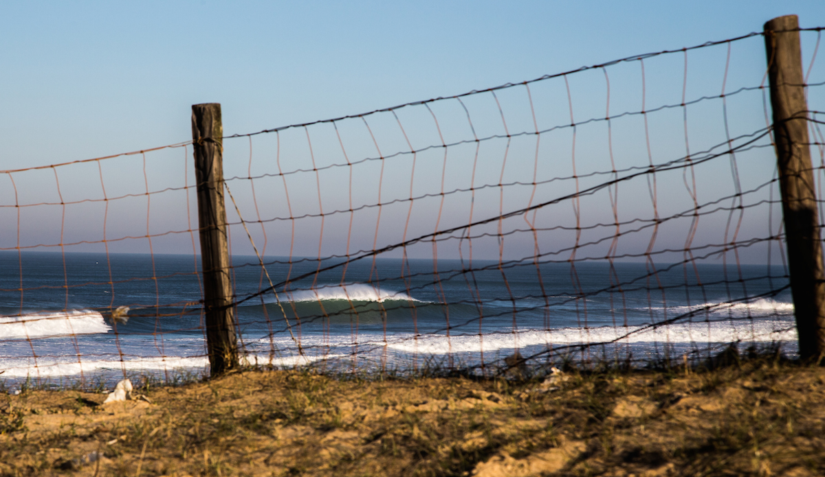 Photo: <a href=\"https://www.jeromechobeaux-photographe.fr/jeromechobeaux-photographe.fr/Home.html\">Jerome Chobeaux</a>