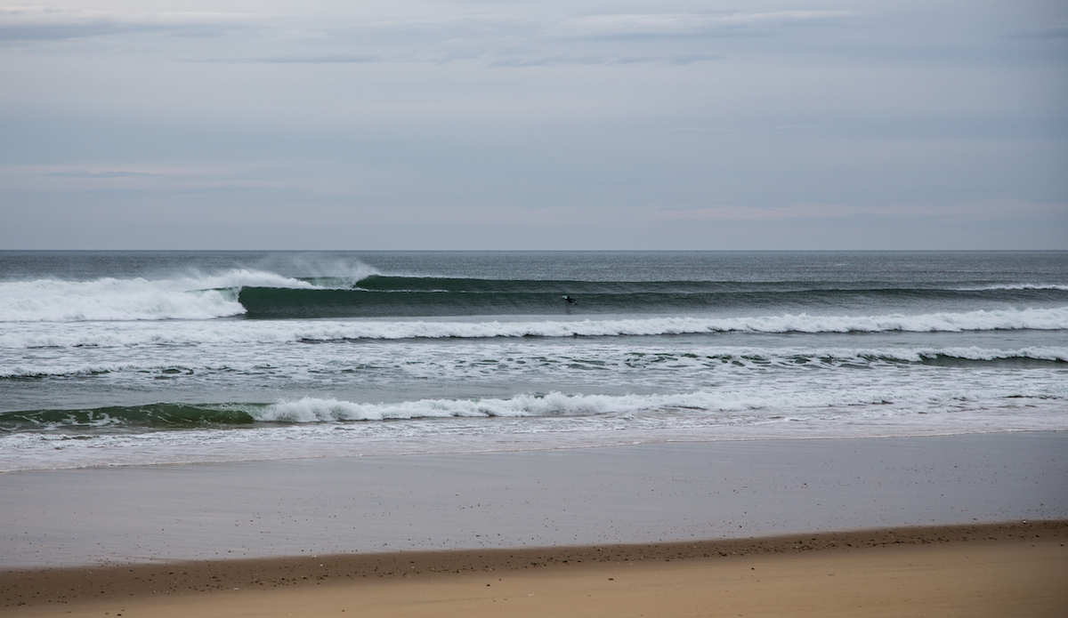 Photo: <a href=\"https://www.jeromechobeaux-photographe.fr/jeromechobeaux-photographe.fr/Home.html\">Jerome Chobeaux</a>