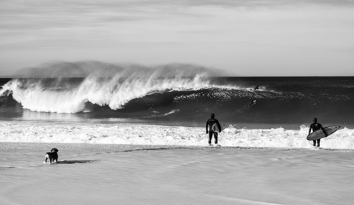 Photo: <a href=\"https://www.jeromechobeaux-photographe.fr/jeromechobeaux-photographe.fr/Home.html\">Jerome Chobeaux</a>