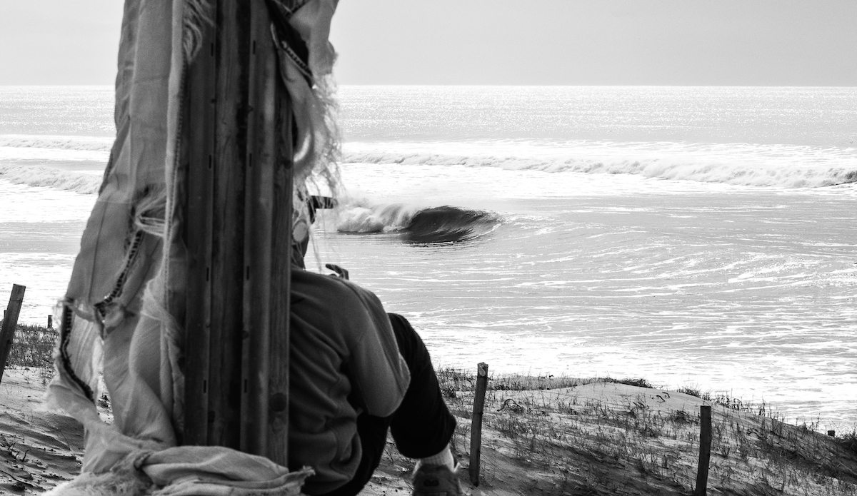 Photo: <a href=\"https://www.jeromechobeaux-photographe.fr/jeromechobeaux-photographe.fr/Home.html\">Jerome Chobeaux</a>