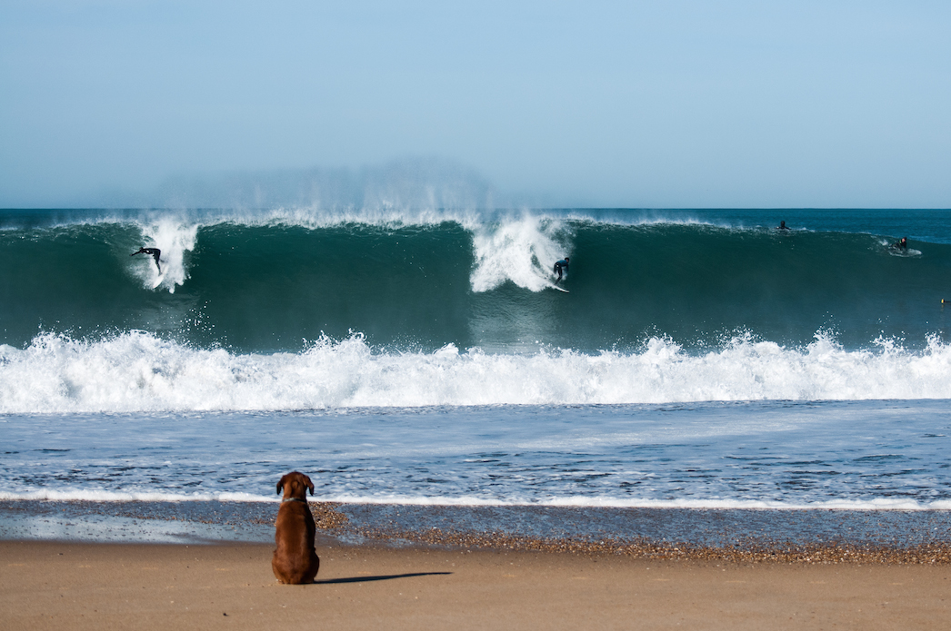 Photo: <a href=\"https://www.jeromechobeaux-photographe.fr/jeromechobeaux-photographe.fr/Home.html\">Jerome Chobeaux</a>