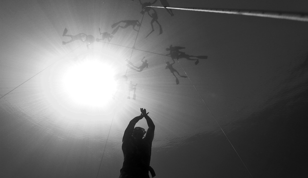 Ascending to the surface after reaching target depth. With each leg kick, getting closer to the surface. Photo: <a href=\"https://instagram.com/el_squid\">Anthony Dooley</a>