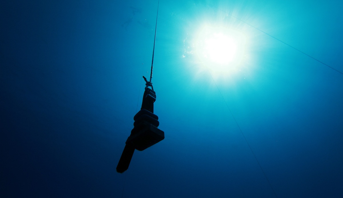 Full depth. 66 feet below the surface the free weight hangs. Photo: <a href=\"https://instagram.com/el_squid\">Anthony Dooley</a>