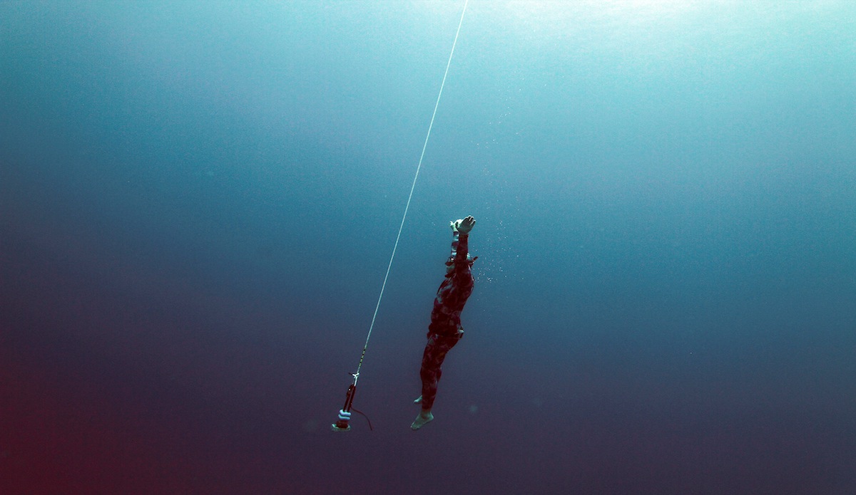 No tanks. No fins. Just you and the sea. Photo: <a href=\"https://instagram.com/el_squid\">Anthony Dooley</a>