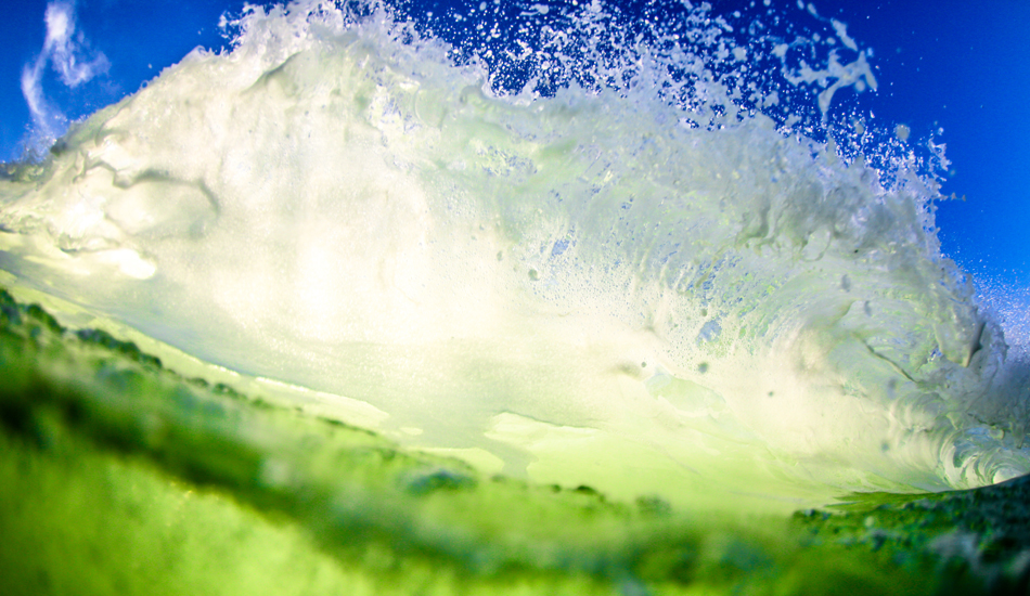 Lemon Lime. Photo: <a href=\"https://www.chrisfrickphotography.com/\" target=_blank>Chris Frick</a>/<a href=\"https://aquatech.net\">Aquatech</a>