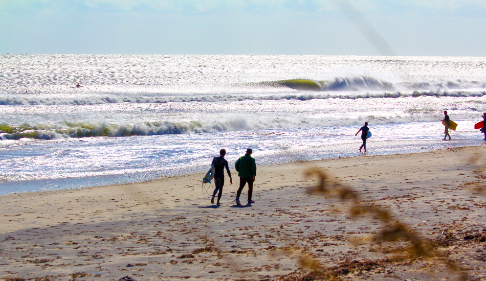 Nature\'s Playground. OBX, 2011. Photo: <a href=\"https://www.chrisfrickphotography.com/\" target=_blank>Chris Frick</a>