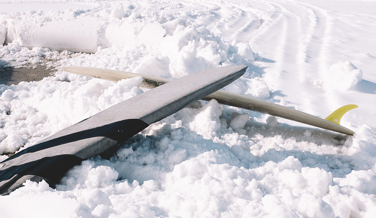 Photo: <a href=\"https://www.clarkography.com/\" target=\"_blank\">Matt Clark</a>