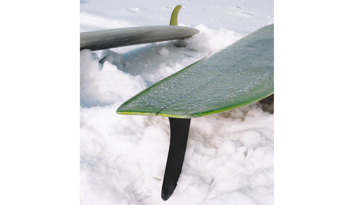 Photo: <a href=\"https://www.clarkography.com/\" target=\"_blank\">Matt Clark</a>