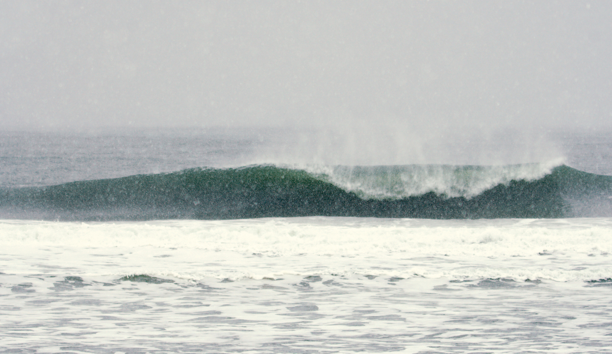 And with that, Quinn left us. Until next time. Photo: <a href=\"https://www.instagram.com/gabereuben/?hl=en\"> Gabe Reuben </a>