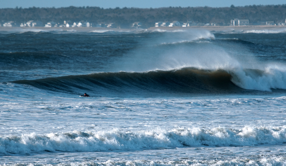 Looking lonely. Photo: <a href=\"https://www.instagram.com/gabereuben/?hl=en\"> Gabe Reuben </a>