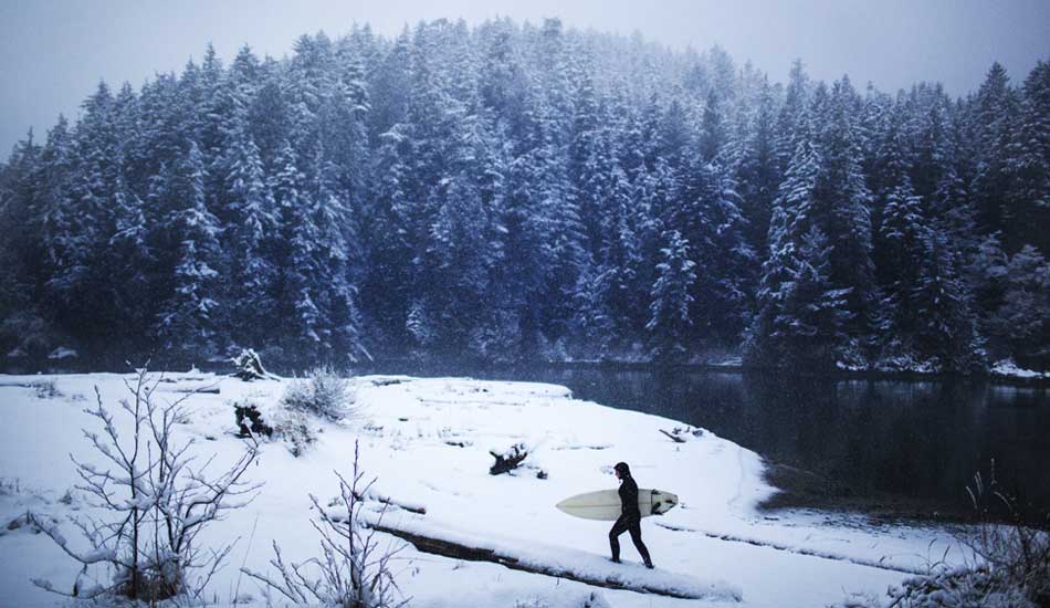 Winter\'s here. Photo: <a href=\"https://www.gaz-art.com/\">Gary Parker</a>