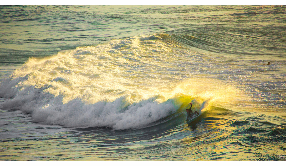 Photo: <a href=\"https://www.girca.fr/\">Gauthier Richard</a>