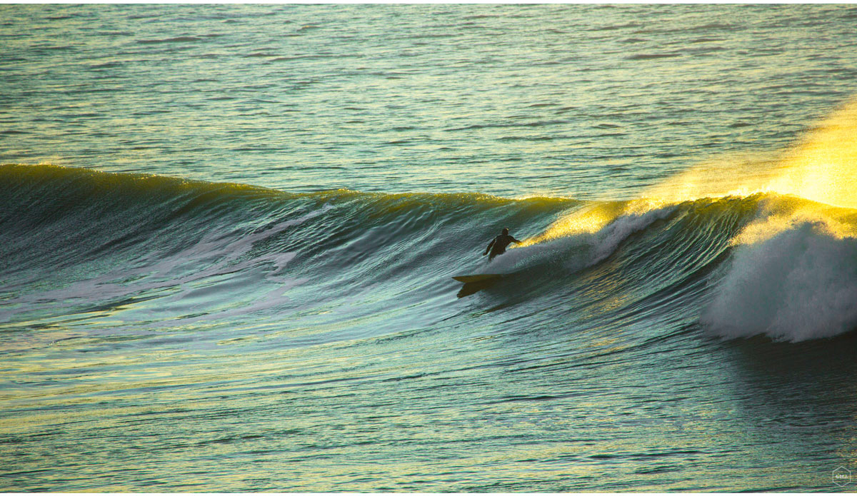 Photo: <a href=\"https://www.girca.fr/\">Gauthier Richard</a>