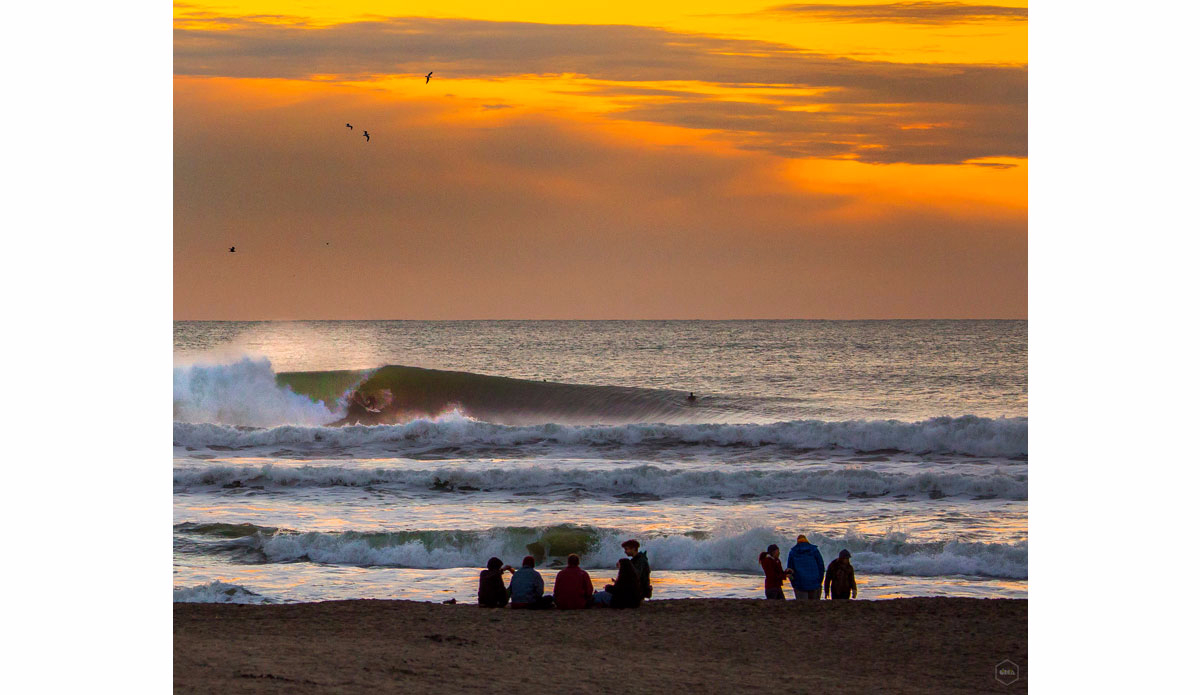 Photo: <a href=\"https://www.girca.fr/\">Gauthier Richard</a>