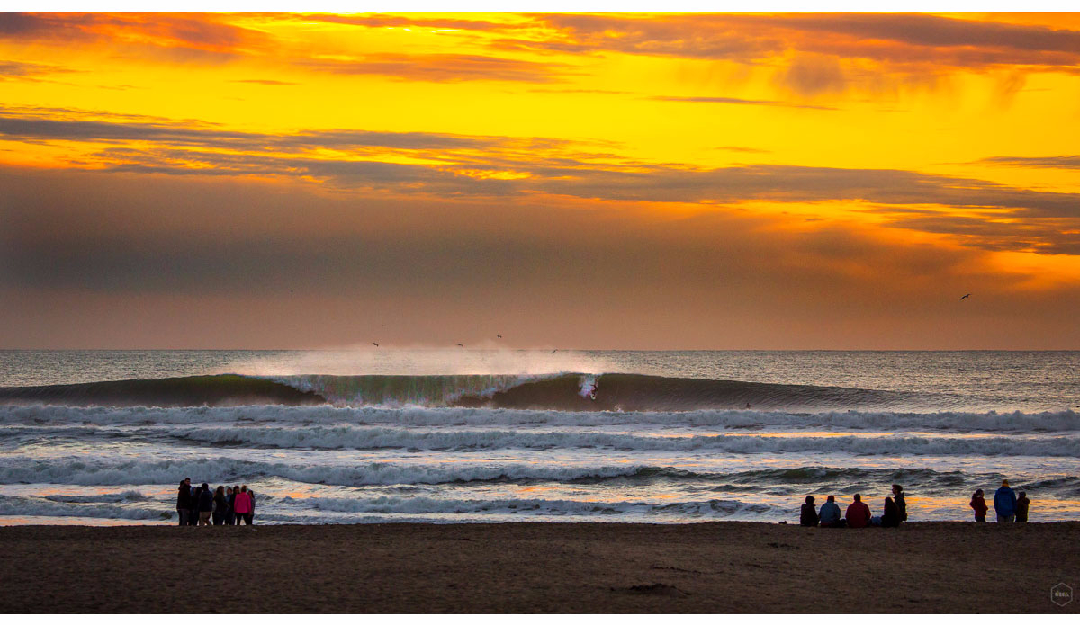 Photo: <a href=\"https://www.girca.fr/\">Gauthier Richard</a>