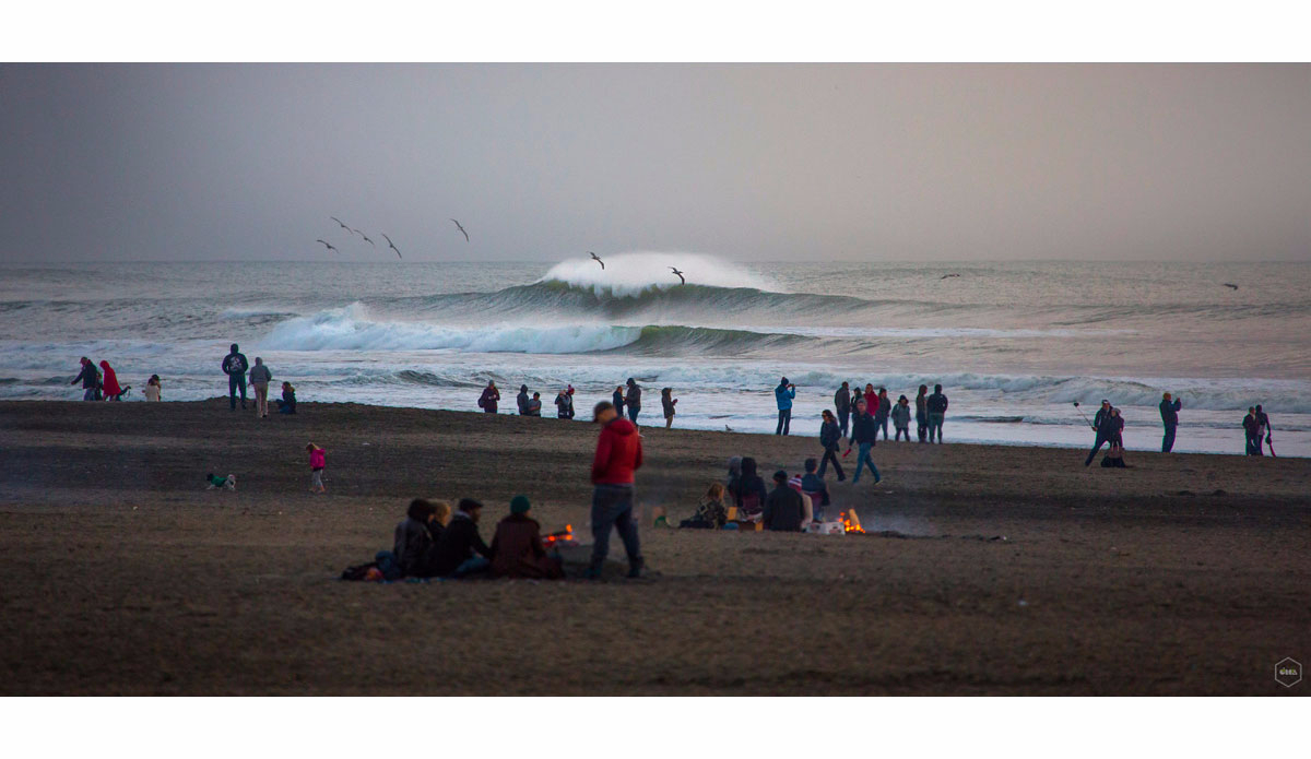 Photo: <a href=\"https://www.girca.fr/\">Gauthier Richard</a>