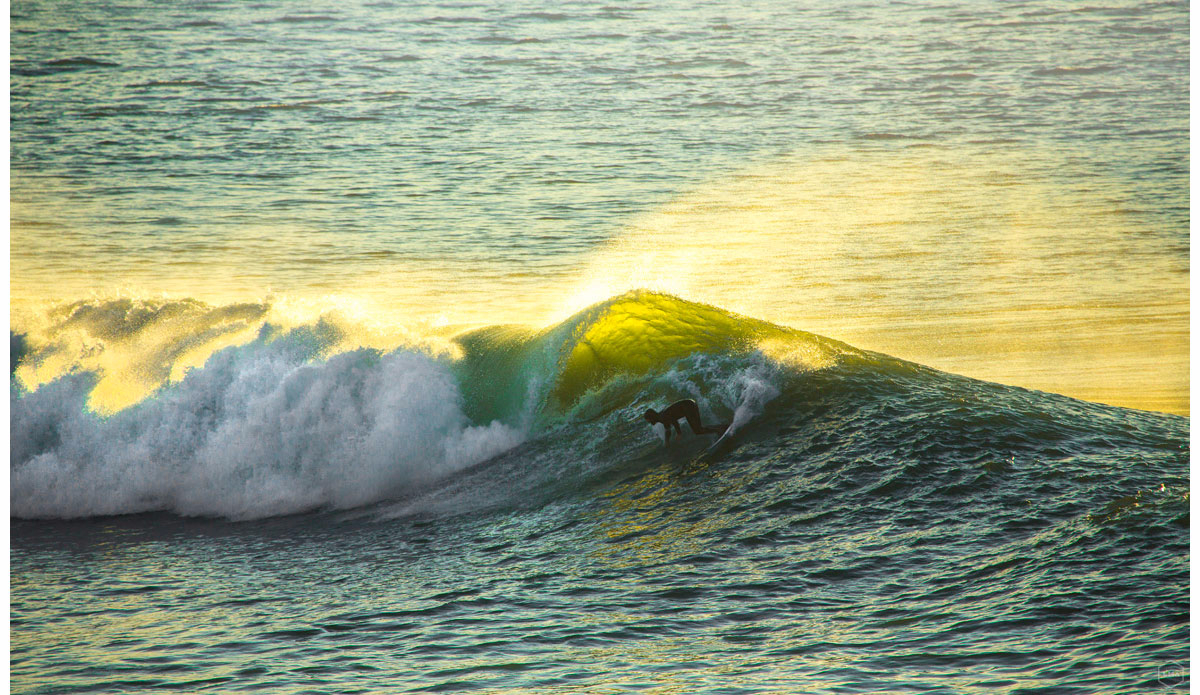 Photo: <a href=\"https://www.girca.fr/\">Gauthier Richard</a>