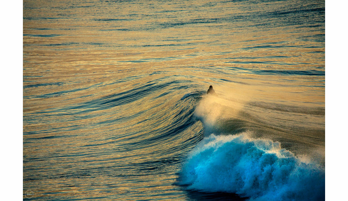 Photo: <a href=\"https://www.girca.fr/\">Gauthier Richard</a>