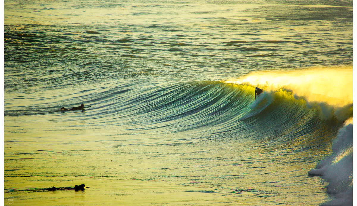 Photo: <a href=\"https://www.girca.fr/\">Gauthier Richard</a>