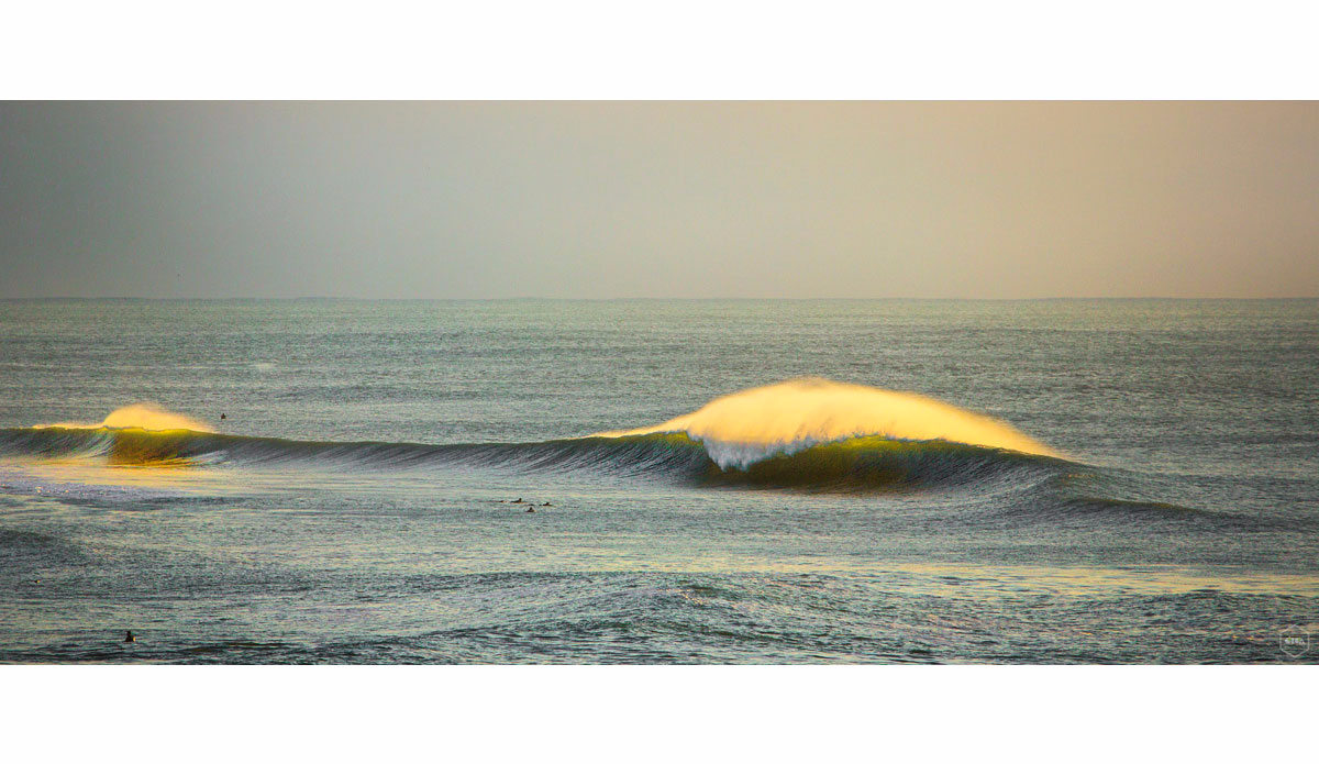 Photo: <a href=\"https://www.girca.fr/\">Gauthier Richard</a>