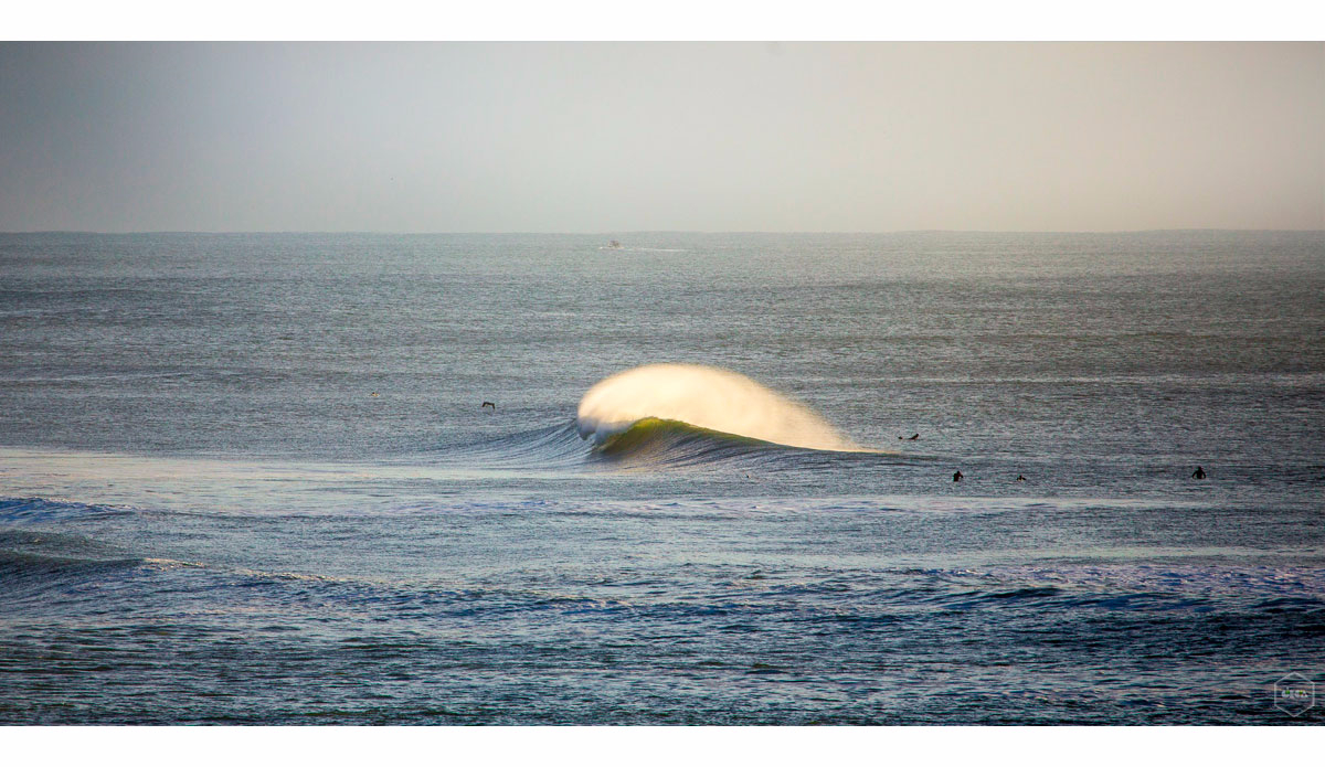 Photo: <a href=\"https://www.girca.fr/\">Gauthier Richard</a>