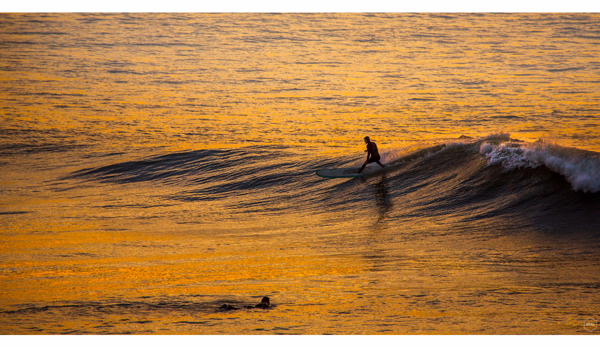 Photo: <a href=\"https://www.girca.fr/\">Gauthier Richard</a>