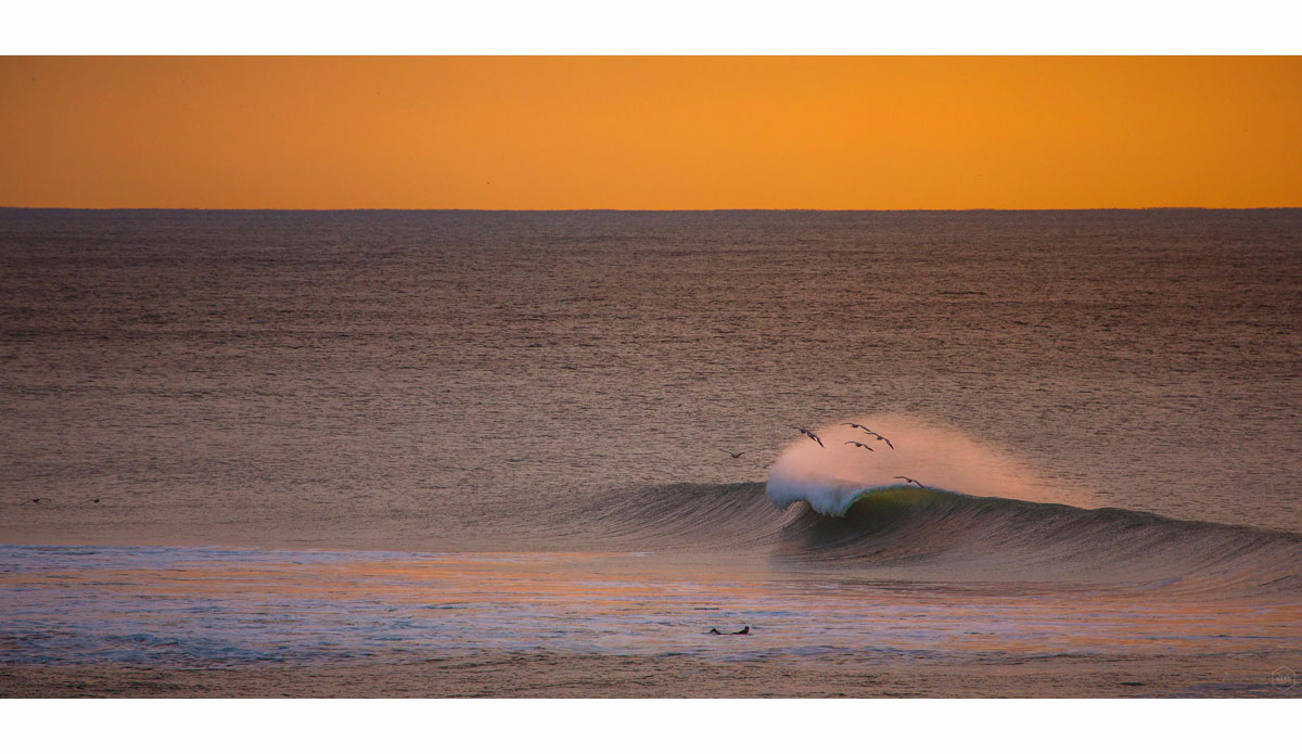 Photo: <a href=\"https://www.girca.fr/\">Gauthier Richard</a>