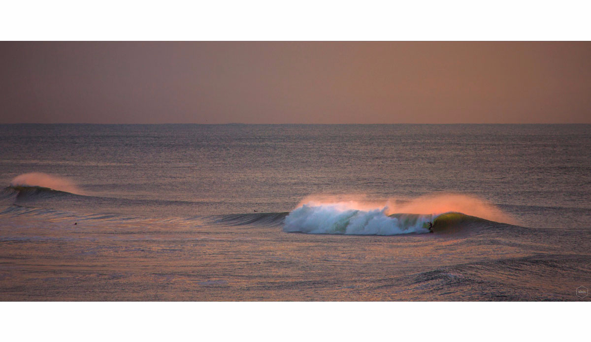 Photo: <a href=\"https://www.girca.fr/\">Gauthier Richard</a>