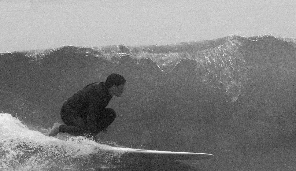 Heavy fog and I couldn’t get a lens lock, even close to shore. Finally, it burned off enough to capture this single frame just as he snuck under the drip line. Photo: Christopher Gauthier

