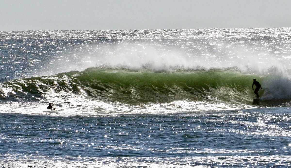Not lost at sea. Photo: Christopher Gauthier
