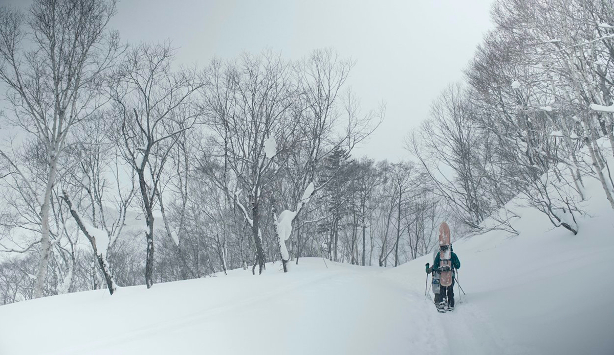 Photo: Amado Stachenfeld