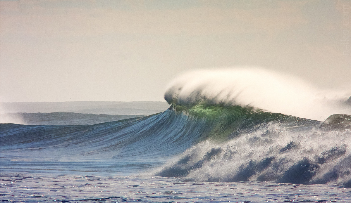 Would you? Photo: <a href=\"https://n-iko.com\">Niko Soikkeli</a>