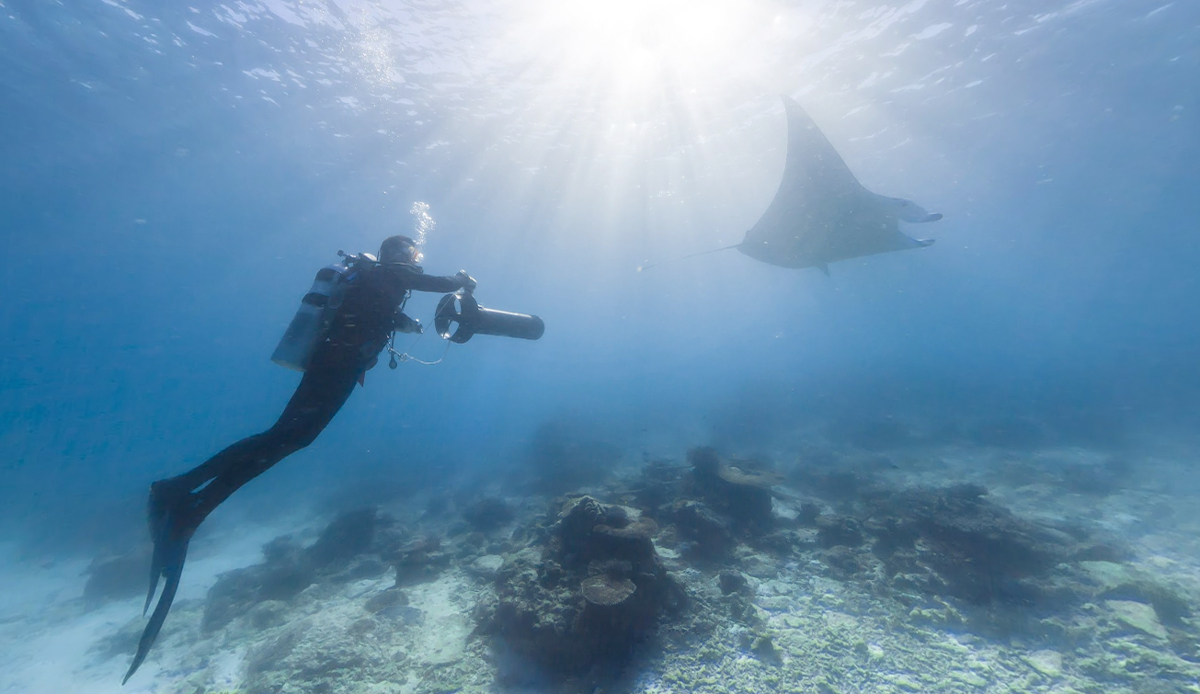 Lady Elliot Island, Great Barrier Reef. Photo: Google