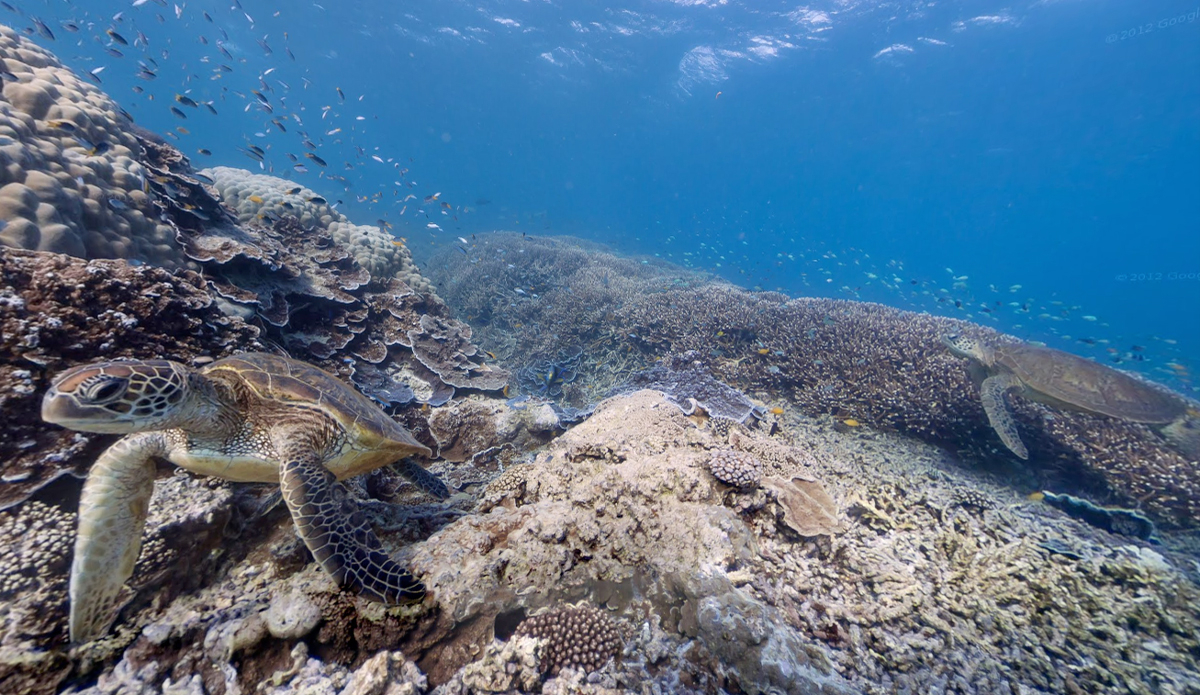 Heron Island, Great Barrier Reef, Australia — a World Heritage Marine site. Photo: Google