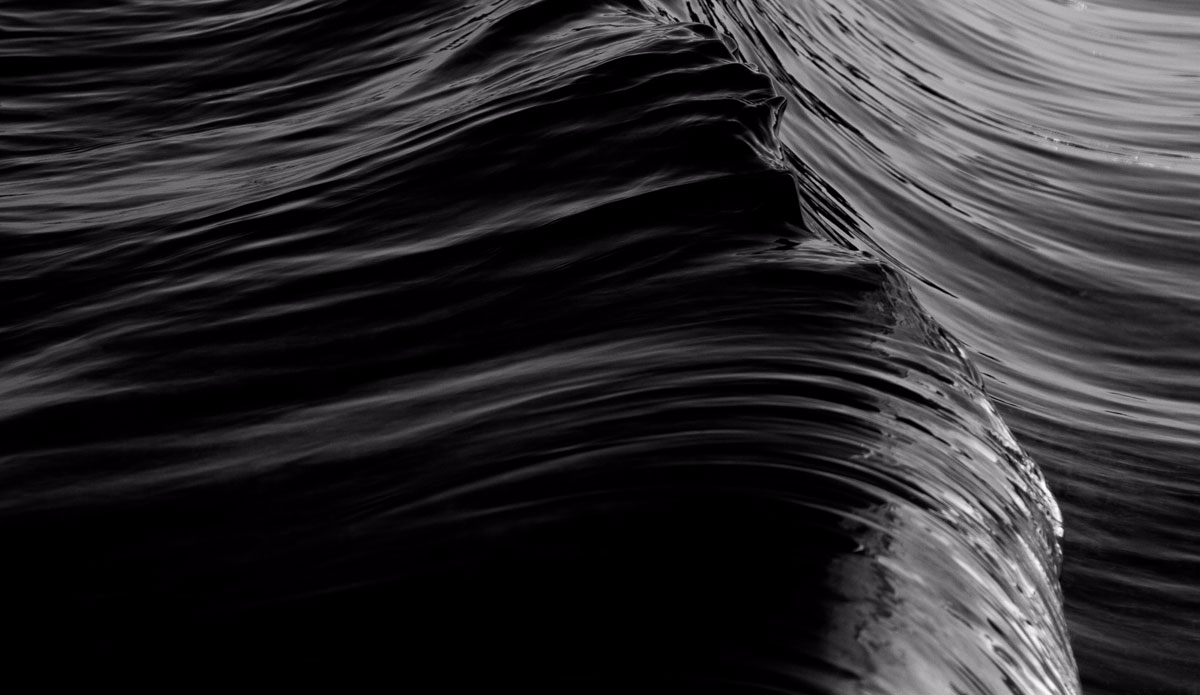 Groomed miniature perfection. Photo: <a href=\"https://instagram.com/jackgorephoto/\" target=\"_blank\">Jack Gore</a>