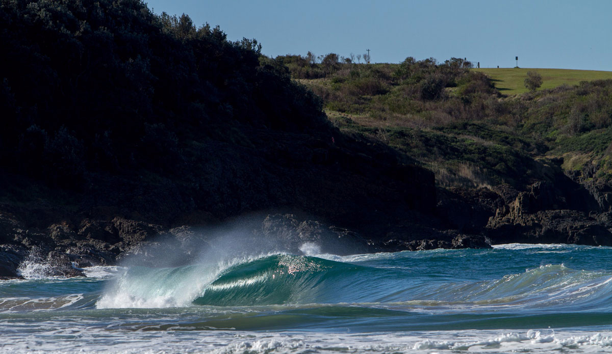 Small day screamers. Photo: <a href=\"https://instagram.com/jackgorephoto/\" target=\"_blank\">Jack Gore</a>