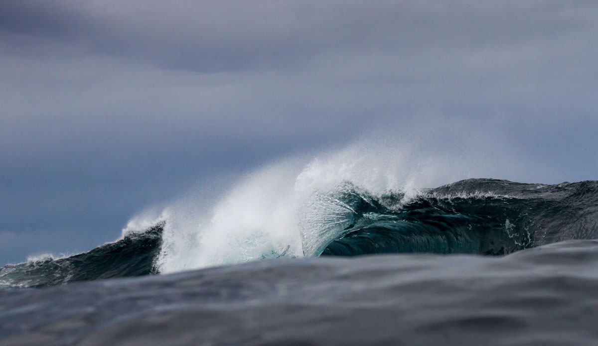 Whale\'s tail. Photo: <a href=\"https://instagram.com/jackgorephoto/\" target=\"_blank\">Jack Gore</a>