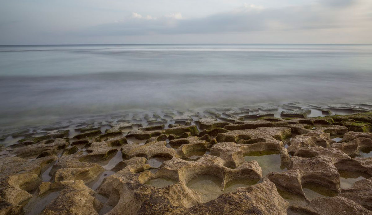 Photo: <a href=\"https://gtaylor.photoshelter.com/gallery-list\"> Grant Taylor</a>