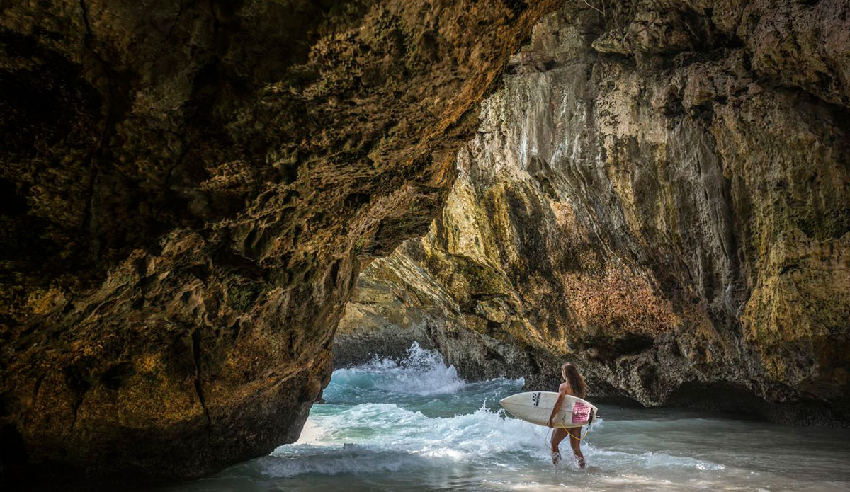 Photo: <a href=\"https://gtaylor.photoshelter.com/gallery-list\"> Grant Taylor</a>