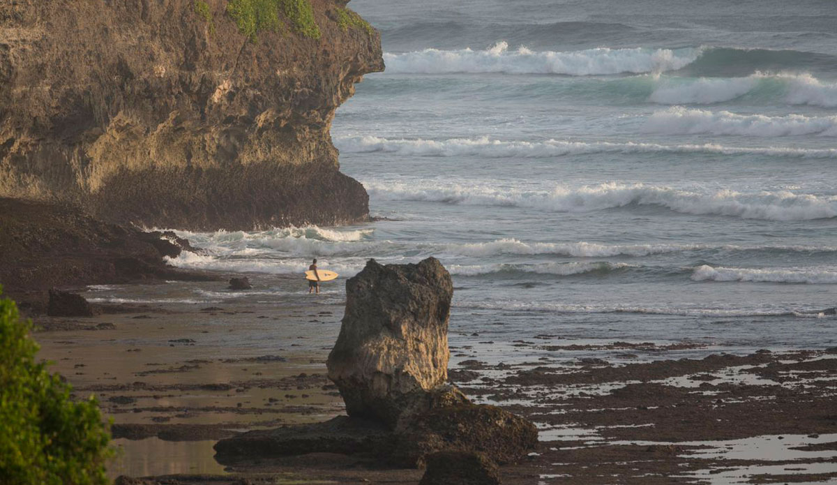 Photo: <a href=\"https://gtaylor.photoshelter.com/gallery-list\"> Grant Taylor</a>