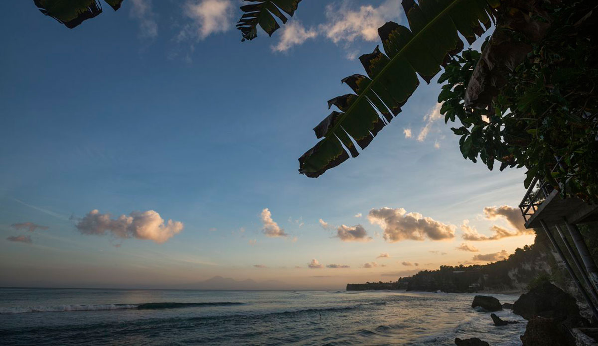 Photo: <a href=\"https://gtaylor.photoshelter.com/gallery-list\"> Grant Taylor</a>